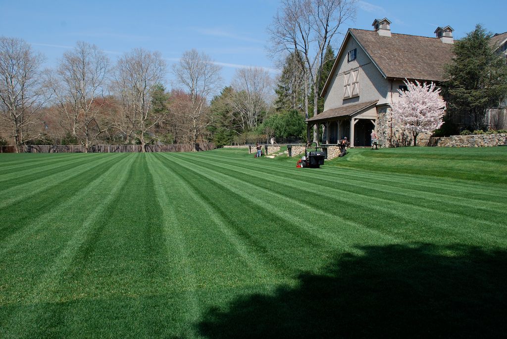 Landscape Services